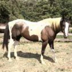 Meet your Posher, Janice